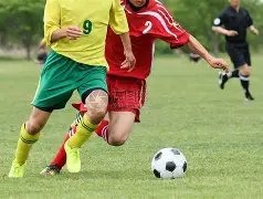 探寻年度足,球界,巨塔,bet365,bet365官方网站,bet365平台,bet365登录,bet365下载,bet365首页