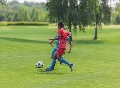 切尔西轻松,取胜,古斯托闪耀,bet365,bet365官方网站,bet365平台,bet365登录,bet365下载,bet365首页