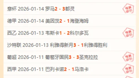 苏超焦点战风云再起：5胜4战绩解析，让度调整谜团揭晓！